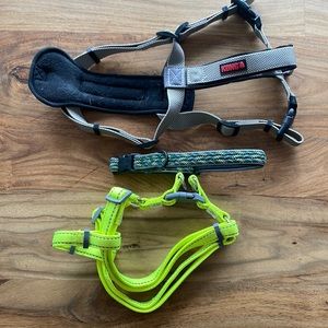 Dog harness and collar.